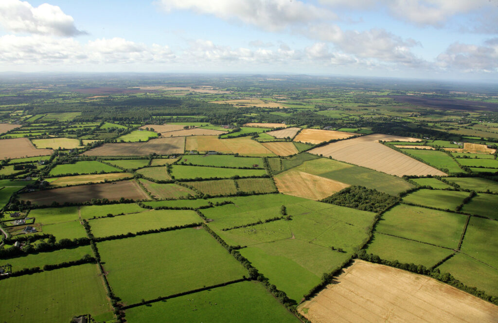11 Acres in Sector 115